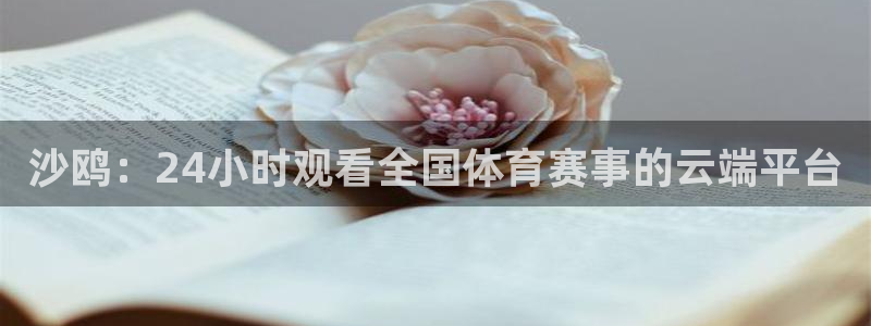 360直播足球直播频道：沙鸥：24小时观看全国体育赛事的云端平台