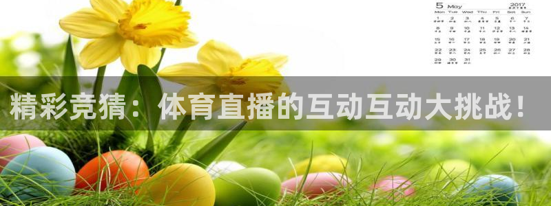 风云足球360在线直播高清