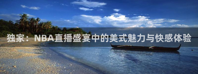 360雨燕直播：独家：NBA直播盛宴中的美式魅力与快感体验