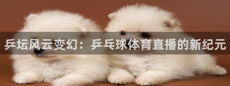 360免费体育直播网：乒坛风云变幻：乒乓球体育直播的新纪元