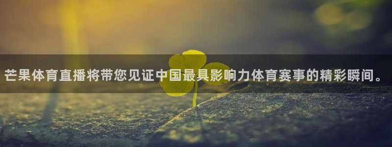 360足球比赛直播雨燕：芒果体育直播将带您见证中国最具影响力体育赛事的精彩瞬间。