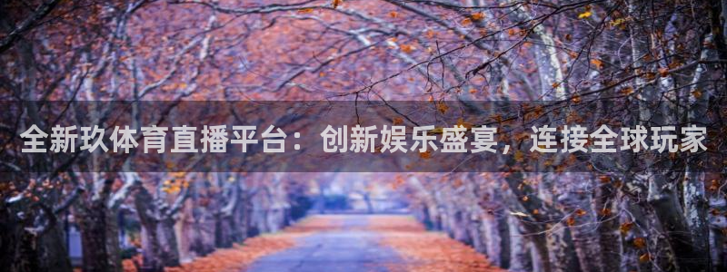 360体育直播无插件高清24：全新玖体育直播平台：创新娱乐盛宴，连接全球玩家