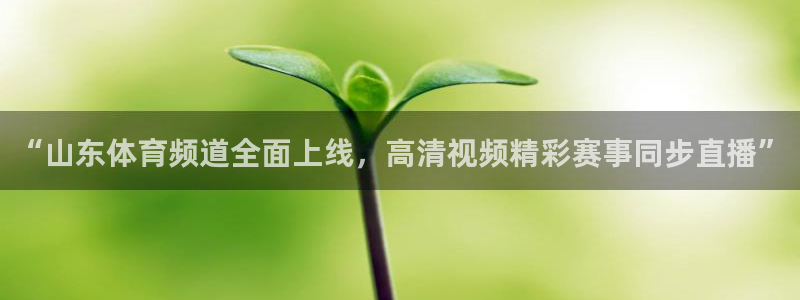 360直播网nba直播足球直播间：“山东体育频道全面上线，高清视频精彩赛事同步直播”