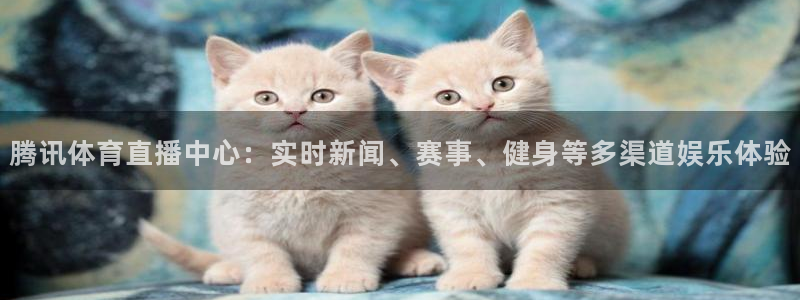 雨燕360体育免费直播环法：腾讯体育直播中心：实时新闻、赛事、健身等多渠道娱乐体验
