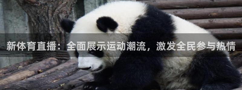 雨燕360体育直播全网发布.快速玩.org：新体育直播：全面展示运动潮流，激发全民参与热情