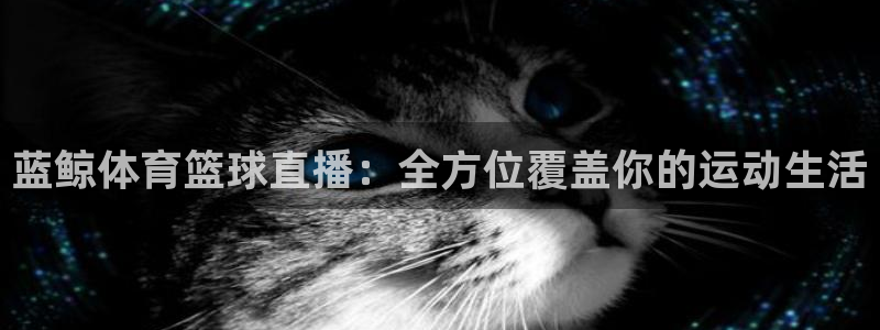 雨燕360nba免费直播：蓝鲸体育篮球直播：全方位覆盖你的运动生活