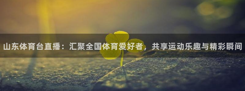 360直播网体育直播视频：山东体育台直播：汇聚全国体育爱好者，共享运动乐趣与精彩瞬间