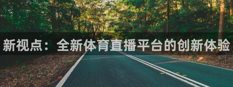 雨燕360体育nba直播免费：新视点：全新体育直播平台的创新体验