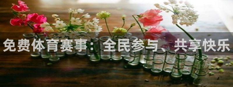 360足球体育直播无插件高清：免费体育赛事：全民参与、共享快乐