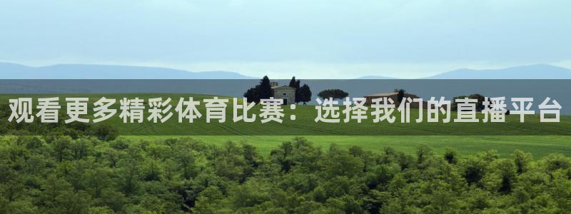 360体育直播雨燕直播在线观看：观看更多精彩体育比赛：选择我们的直播平台